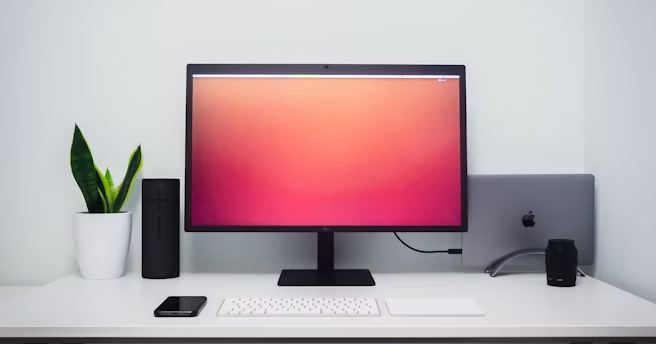 Monitor